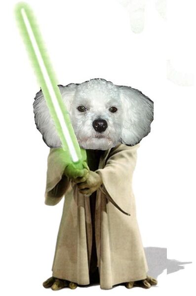 File:Snowball Yoda.jpg