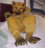 Fursuit.GIF