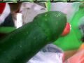 Sexy Cucumber.jpg