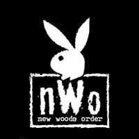 Nwo logo.jpg