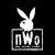 Nwo logo.jpg