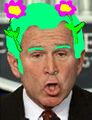 George W. Bush with flowers on his head.jpg