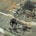 Chernobyl elephant.jpg