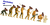 Hamvolution.png
