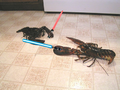 Lobster lightsaber combat.png