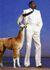 Llama and wilt.jpg