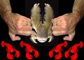 Thumbnail for version as of 19:46, 7 May 2007