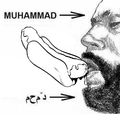 Muhammadsucks.png