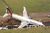 B737 400.jpg