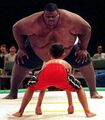 Sumo wrestler.jpg
