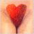 Heart Merkin.jpg