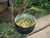 Ayahuasca.jpg