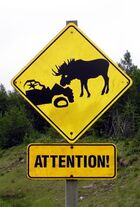 Newfoundland Moose Sign.jpg