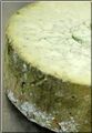 Mouldy cheese.jpg