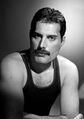 Freddie Mercury 2.jpg