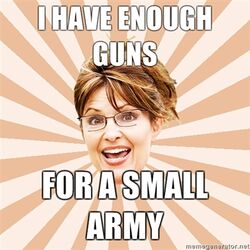 I-have-enough-guns-for-a-small-army.jpg