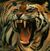 Tiger roaring head.jpg
