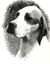 Pooch1.jpg