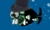 Classydopefish.png