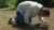Cest.png