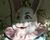 Evilbunny.jpg
