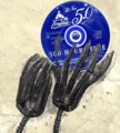 Crinoid fossil 03.png