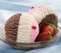 Neopolitan ice cream.jpg