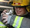 Firefighter saves kitten.jpg