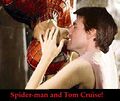 Spidy Tom.jpg