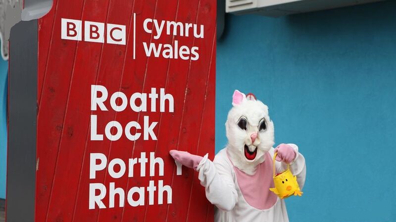 File:Terrifying-bunny.jpg