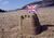 Sandcastle flag.JPG