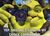 Shrekcamera.jpeg