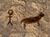 Cavedrawing.jpg