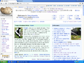 Uncyclopedia main page.PNG