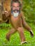 Mel-gibbon1.jpg