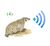 Badger Waves.jpg