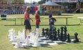 Garden chess set.jpg