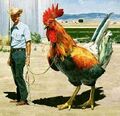 Man with rooster.jpg