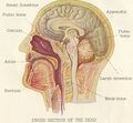 Thumbnail for version as of 08:06, 22 April 2012