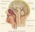 Head diagram.jpg