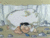 Fredflintstonequarry.GIF