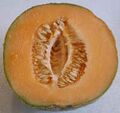 Melon-cantaloupe-split small.jpg