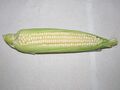 White corn.jpg