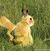 Realistic Pikachu.jpg
