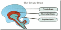 Thumbnail for version as of 14:07, 28 January 2011