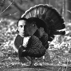 Goebbels-turkey.jpg