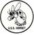 Hornet004.jpg