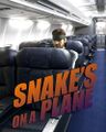 Snake-on-a-plane.jpg