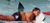 Shark searches piggy kid.jpg
