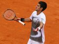 Novak-Djokovic-French-Open-baffled.jpg